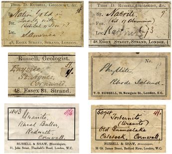 six old - fashioned business cards from the early 1900's