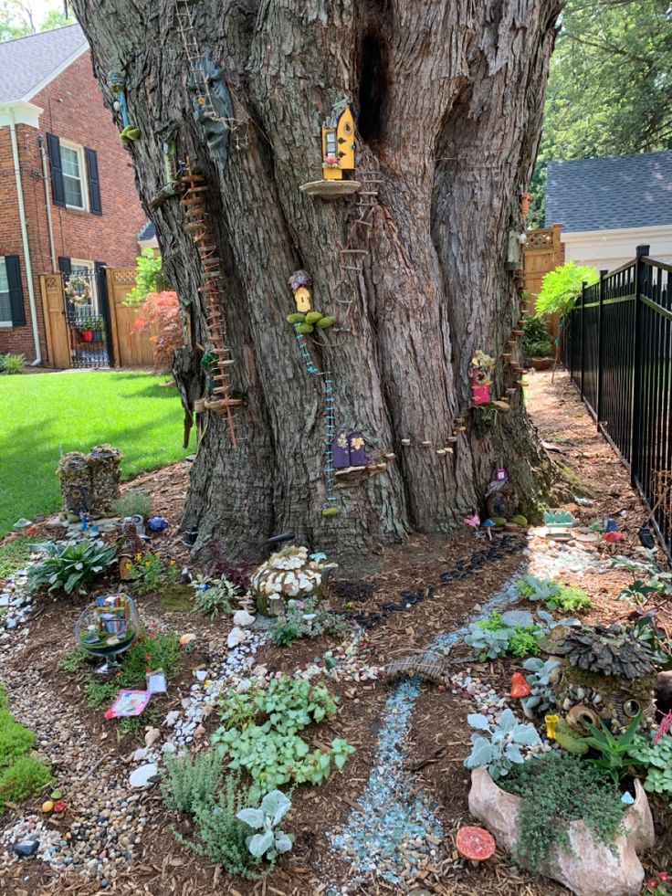 a tree that has some plants growing out of it and is next to a fence