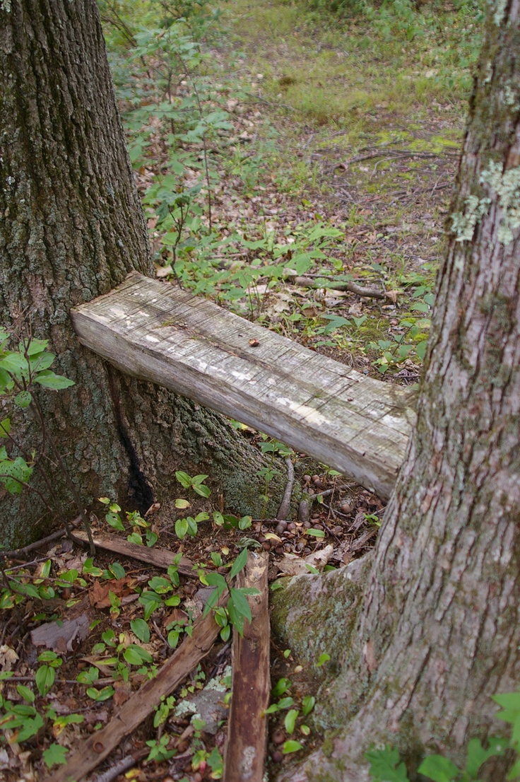 an old wooden bench sitting next to a tree