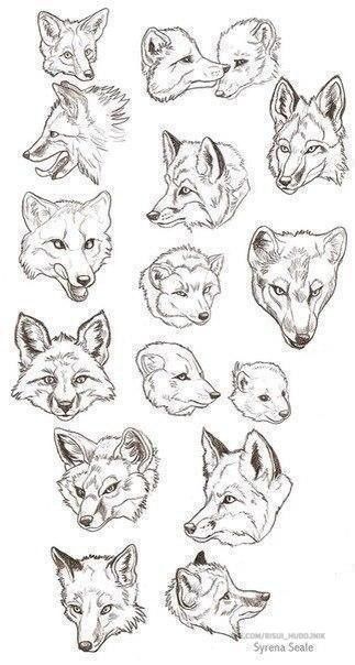 several different types of fox heads drawn by hand