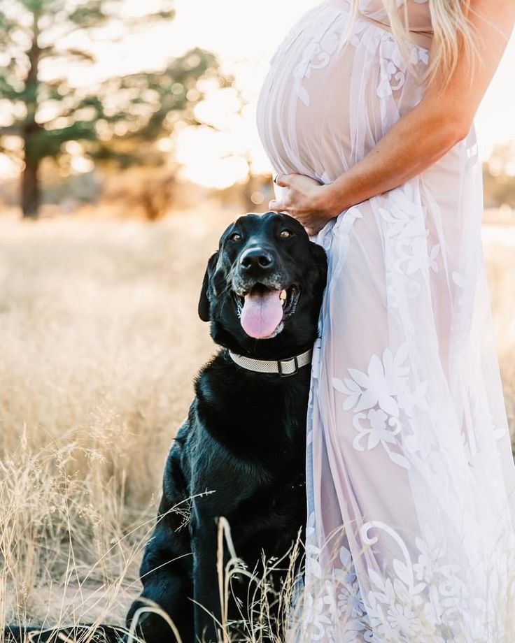 a pregnant woman standing next to her black dog in a field with tall grass and trees