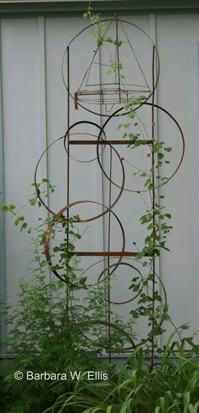 a metal trellis with vines growing on it in front of a white wall and door