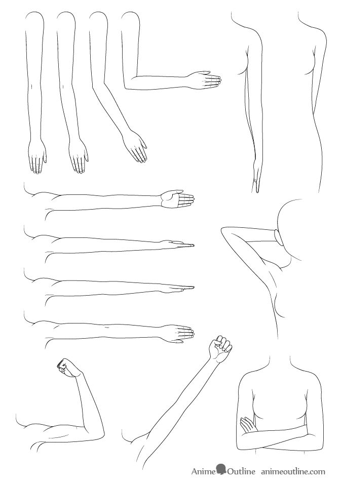 the body and hands are shown in black and white, as well as an outline drawing