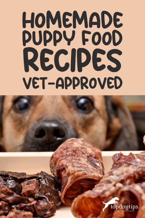 a dog is looking at some food in front of him with the title homemade puppy food recipes vet - approved