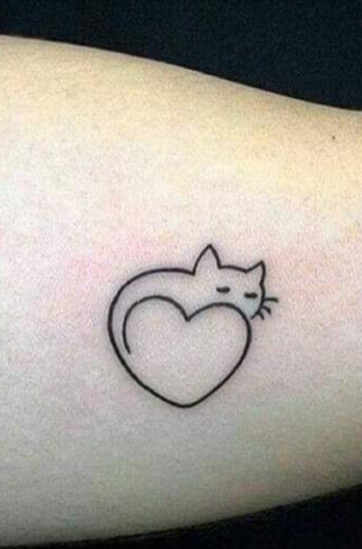 a small cat with a heart tattoo on the left side of the arm, it is black and white