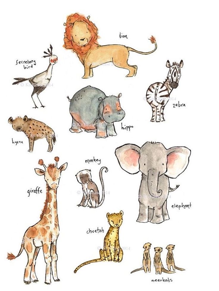 an image of different animals that are in the same color and font on this page