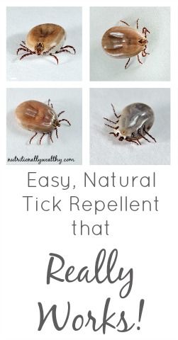 four pictures of ticks with the words easy, natural tick repellent that really works