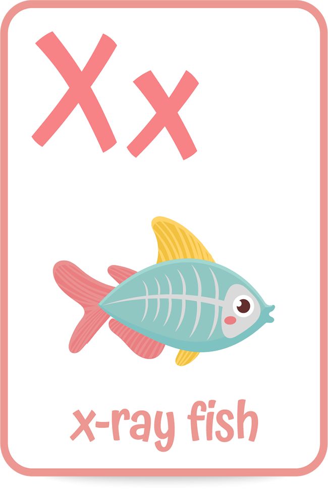 an x - ray fish is shown with the letter x