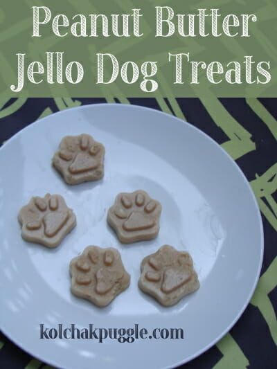 four peanut butter jello dog treats on a white plate with green and black background