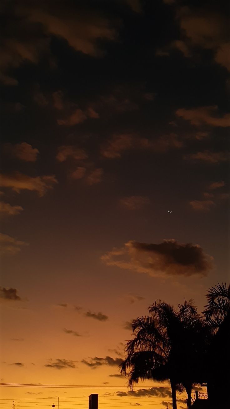 the sun is setting behind some palm trees