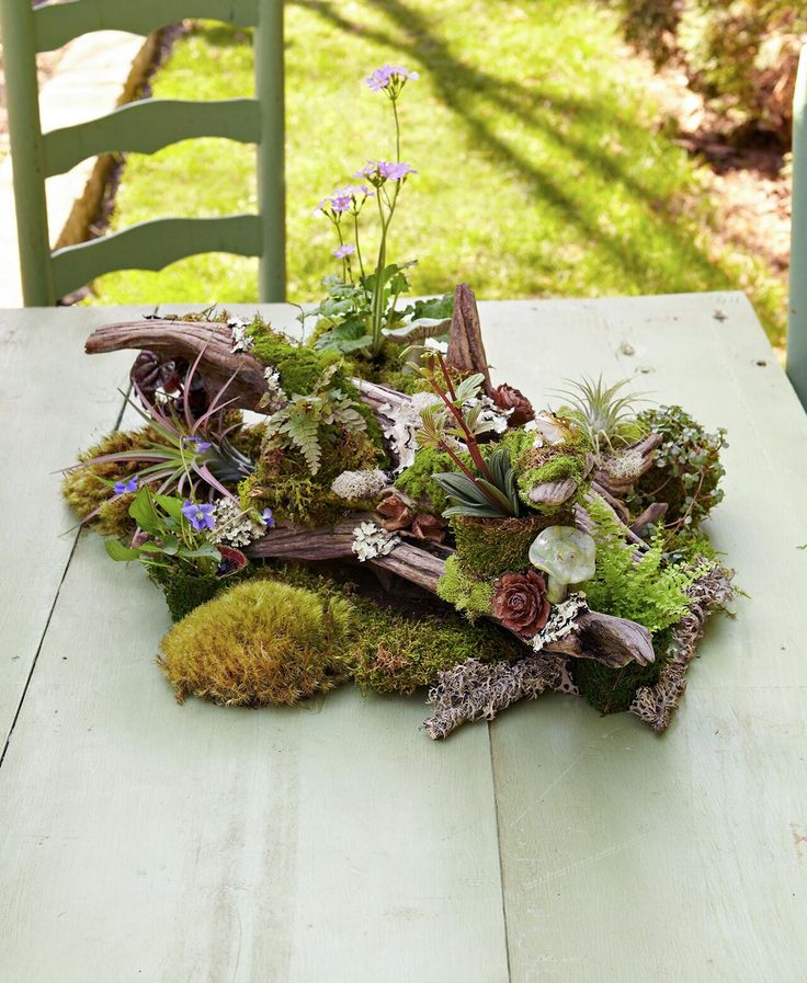 an arrangement of plants and moss on a wooden table in front of a green chair