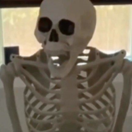 a fake skeleton sitting in front of a window