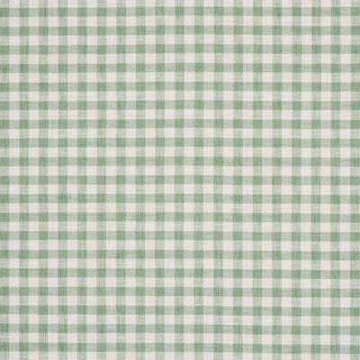 a green and white gingham checkered fabric