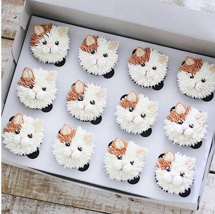 twelve cupcakes in a box with cats on them