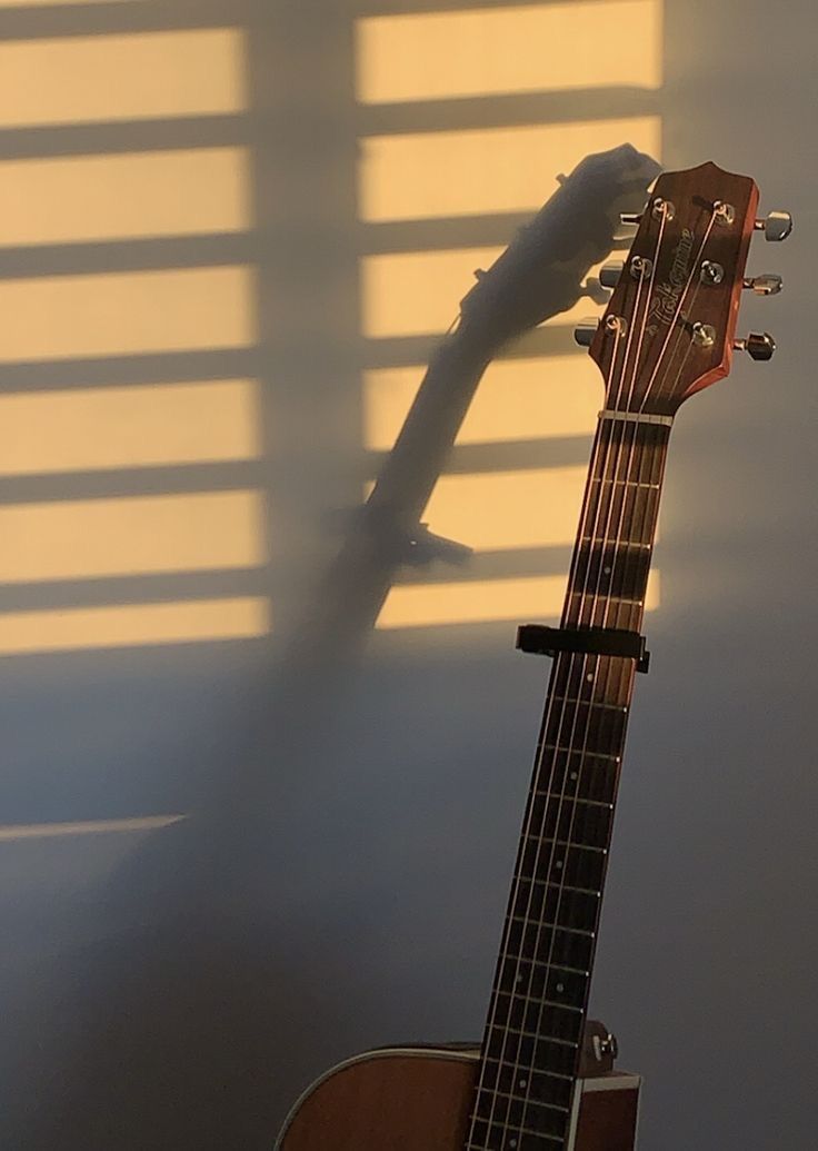 an acoustic guitar sitting in front of a window with the shadow of a bird on it