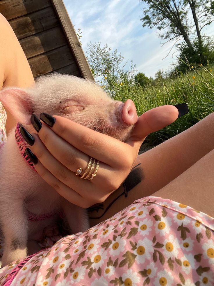 a woman holding a small pig in her hands