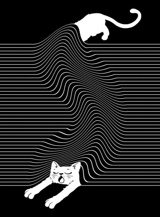 a cat laying on top of a black and white background