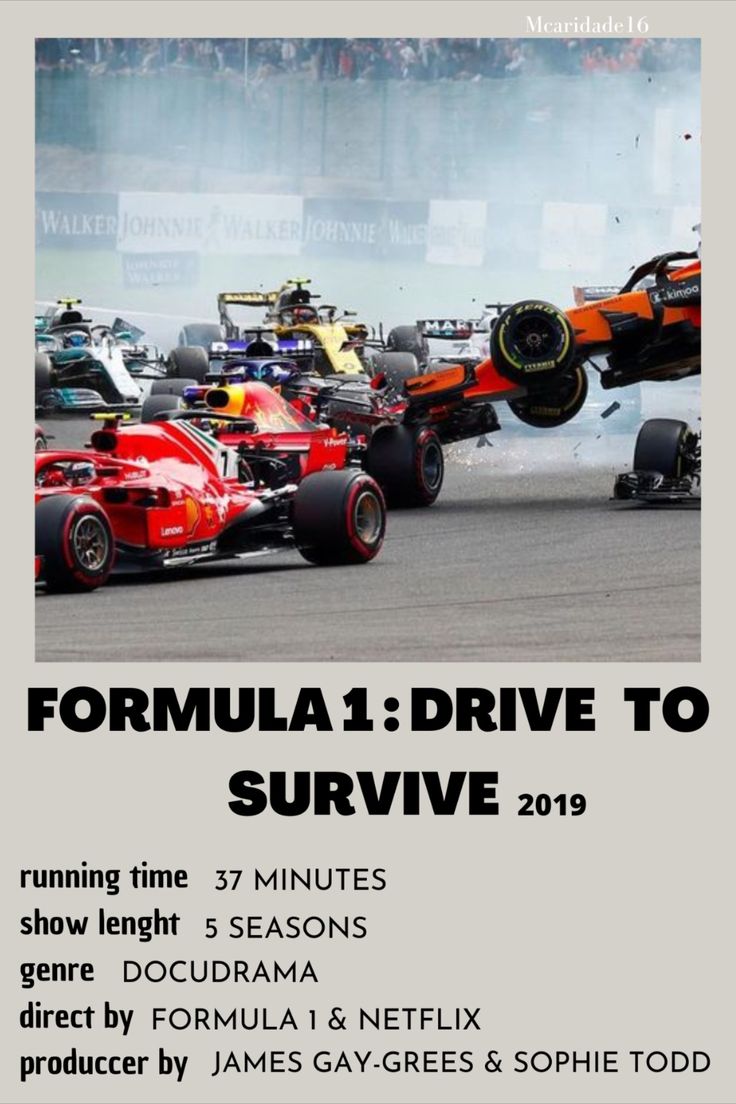 formula 1 drive to survive flyer