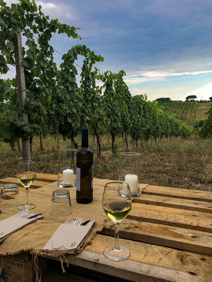 Primo piano: due bicchieri di vino bianco e una bottiglia. Sullo sfondo: vigneto di Frascati Vineyard Wine Tasting Aesthetic, Wine Vineyard Aesthetic, Natural Wine Aesthetic, Winery Aestethic, Wine Tasting Aesthetic, Winery Aesthetics, Vine Aesthetic, Vineyard Aesthetic, Aesthetic Wine