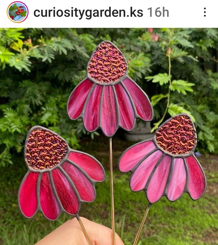 three pink flowers are being held in front of some green grass and bushes with the words curiosity garden 16h written on them