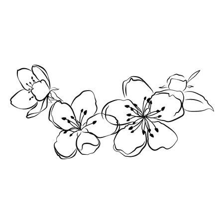 an ink drawing of flowers on a white background