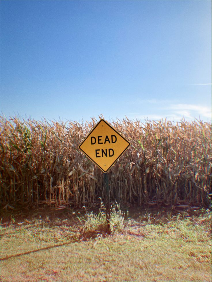 a dead end sign in the middle of a corn field