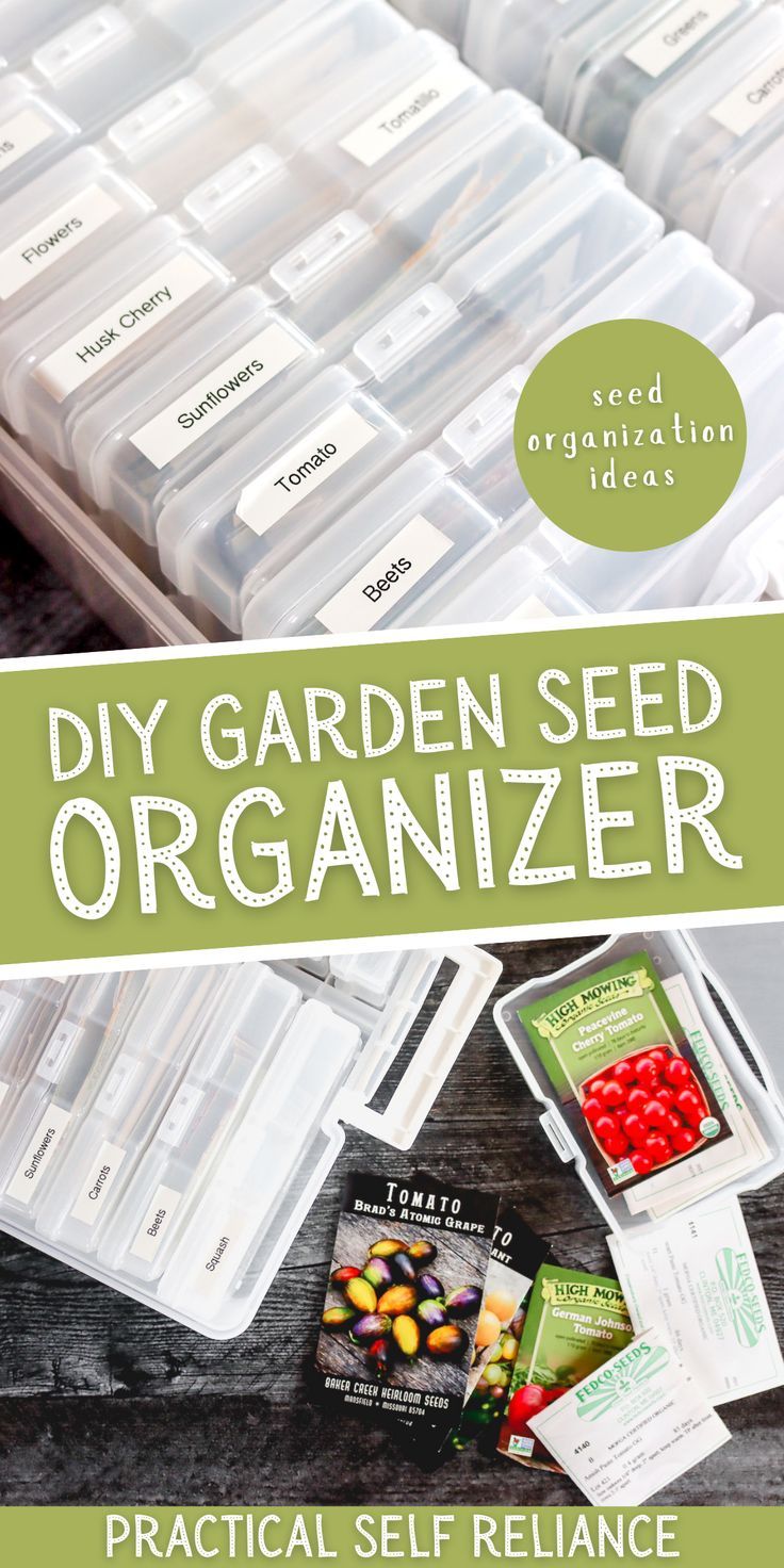 a DIY garden seed organizer for garden seed packet storage Organizer Ideas Diy, Seed Organization, Seed Organizer, Diy Gardening Ideas, Storing Seeds, Diy Seed Packets, Garden Seeds Packets, Seed Storage, Storing Vegetables