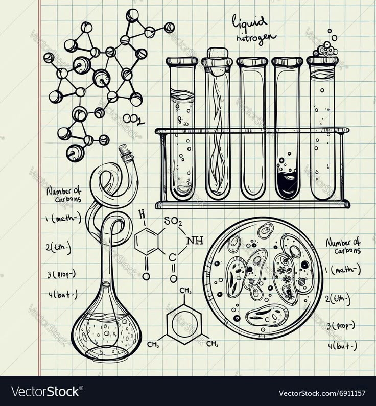 hand drawn illustration of science equipment