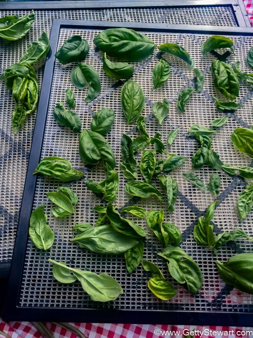 fresh basil leaves on a grill grate ready to be used as garnishes