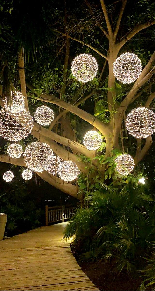 a tree with lights hanging from it's branches in the middle of a walkway