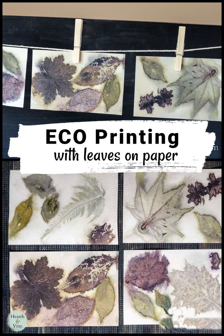 an image of leaves on paper hanging from clothes pins with the title eco printing with leaves on paper