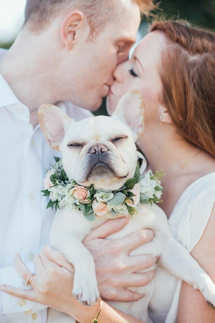 a man and woman kissing while holding a small dog in their arms with flowers on it's collar