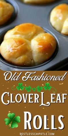 old fashioned clover leaf rolls in a muffin tin with text overlay reading old fashioned clover leaf rolls