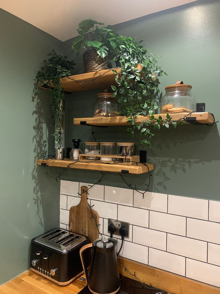 a kitchen with green walls and wooden shelves