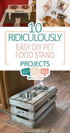 the 10 ridiculously easy diy pet food stand projects are great for small dogs and cats