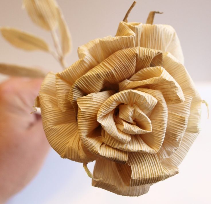 a close up of a person holding a flower made out of pasta paper and leaves