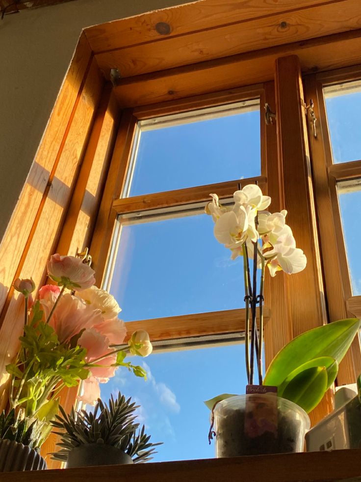 some flowers are sitting on a shelf in front of a window