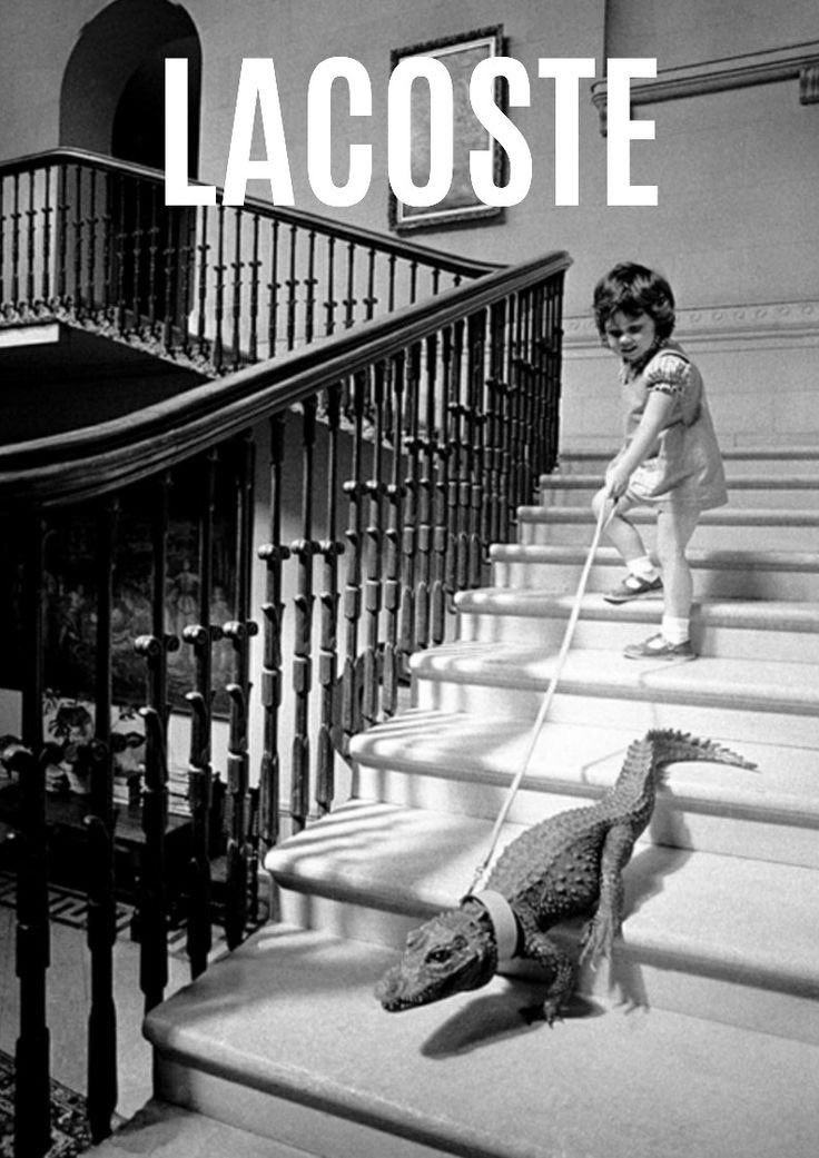 a little boy that is standing on some stairs with a toy alligator in front of him