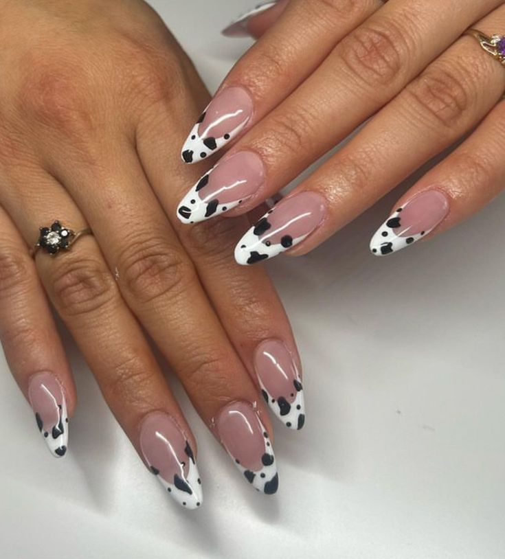 Cow Print French Tips Almond, Cow Print French Tip Nails Almond, Cow Nails Acrylic Almond, Cow Nails Almond, Almond Nails Cow Print, Animal Print French Nails, Almond Cow Print Nails, Cow French Tip Nails, Cow French Tip