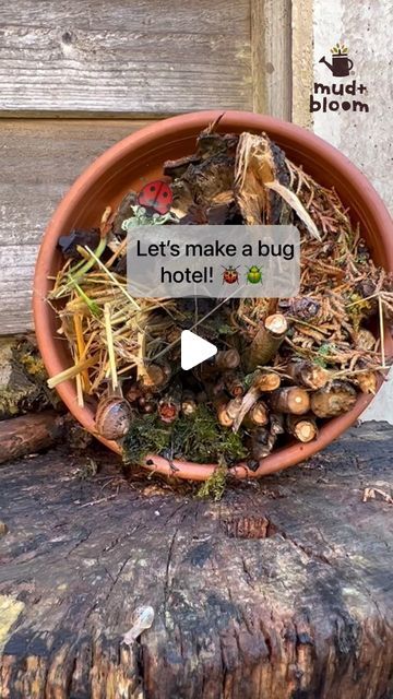 a pot filled with lots of different types of plants on top of a tree stump