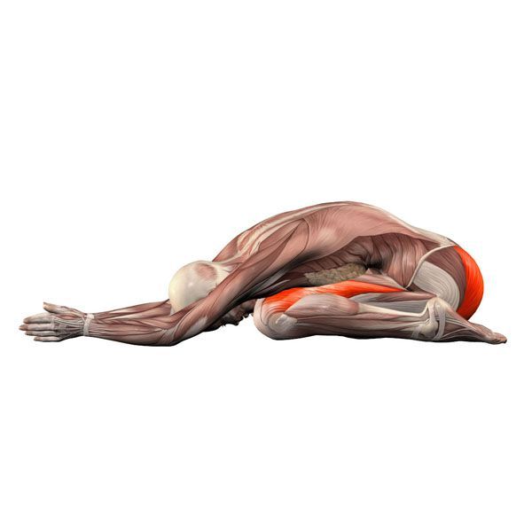 an image of a man laying on the ground with his legs spread out and muscles highlighted