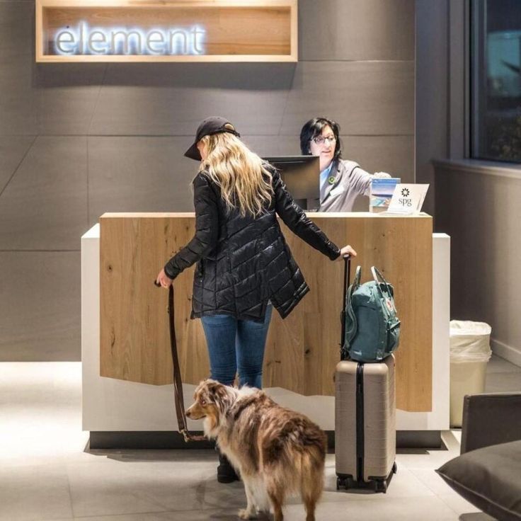 the woman is walking her dog in front of the check - in counter at the airport