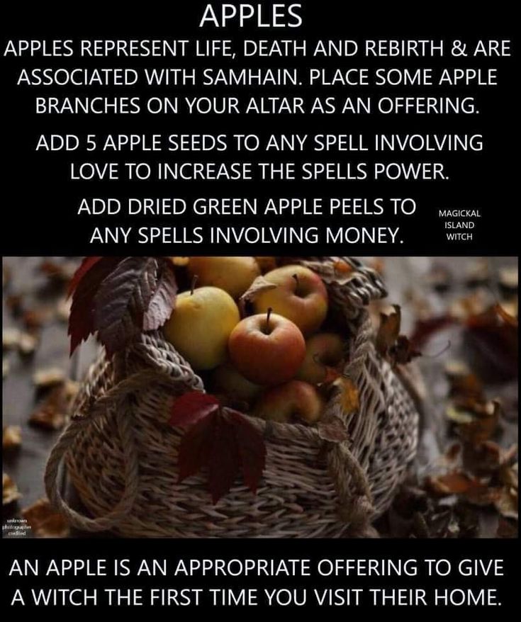 Wiccan Tips, Blessed Samhain, Shadow Book, Wiccan Sabbats, Hoodoo Spells, Witch Tips, Magickal Herbs, Witch Cottage, Witch Spirituality