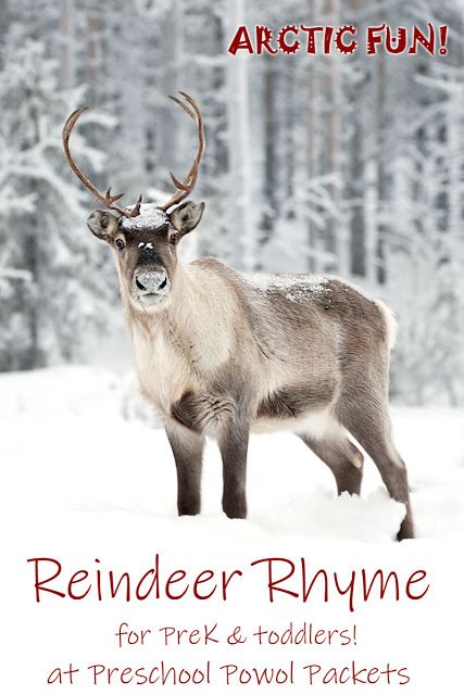 the reindeer is standing in the snow with his antlers on it's back