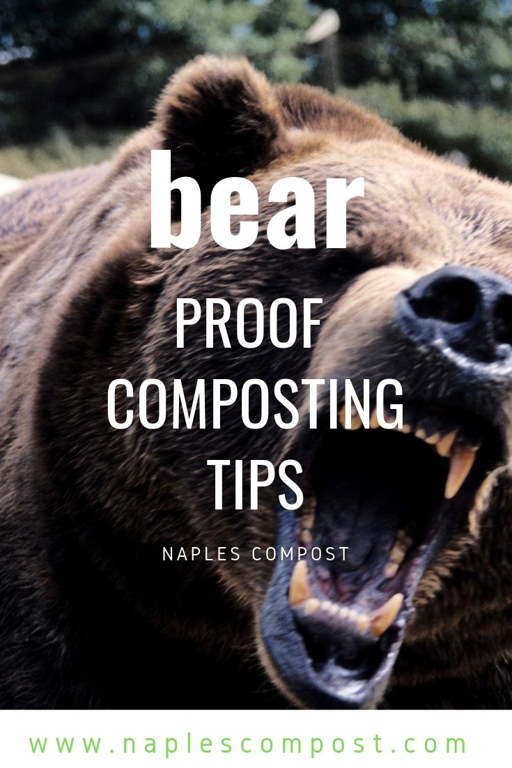 a bear with it's mouth open and the words, bear proof composting tips