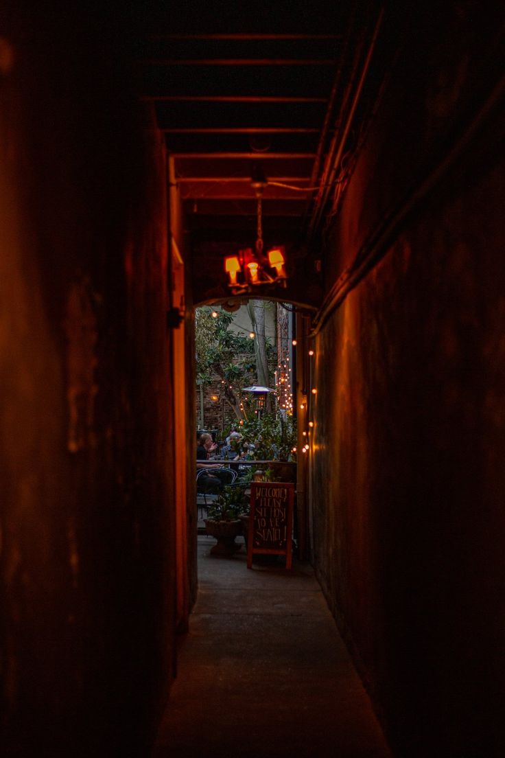 an alley way at night with lights on the ceiling and plants in potted pots