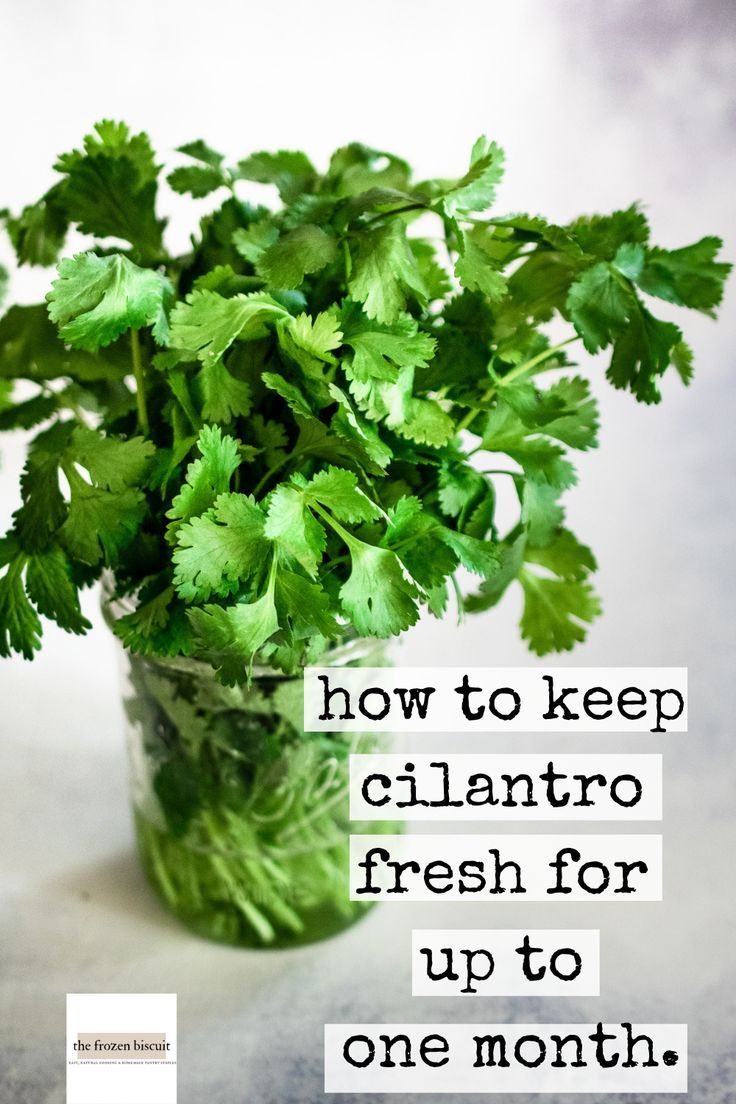 a glass vase filled with fresh cilantro on top of a table