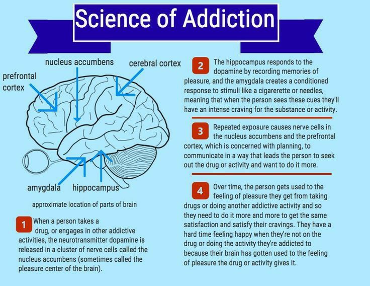 Alcohol Ice Cream, Psych Notes, Brain Anatomy And Function, Wellness Art, Counselling Tools, Learning Psychology, Mental Healthcare, Psychological Tips, Psychology Notes