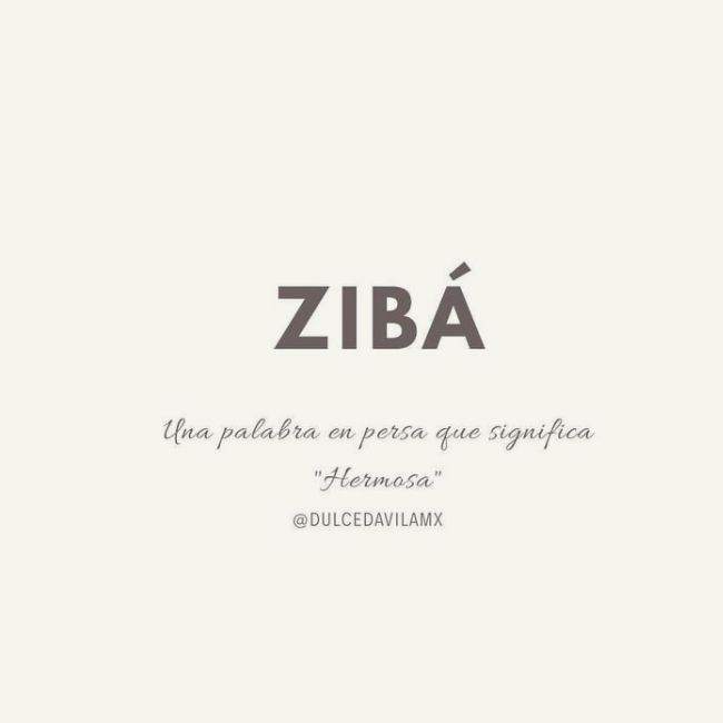 a white background with the words ziba in spanish