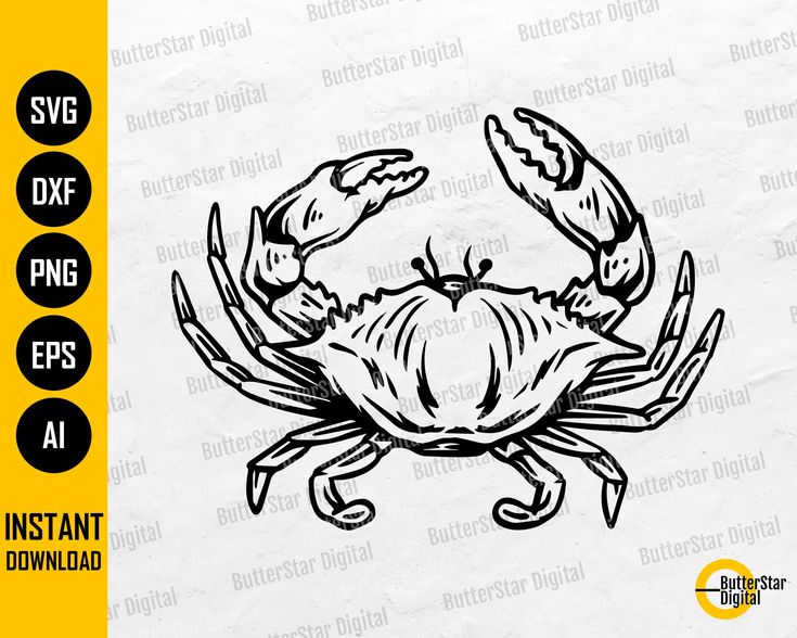 crab life by the claws svg cut file